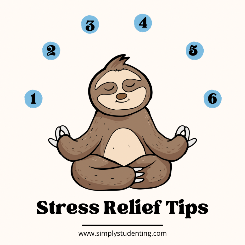 Blog Post: 6 Strategies to Manage Student Stress